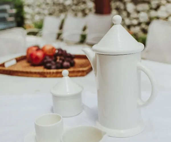 Carmel فيلة