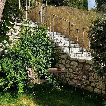 Carmel * Δρυμώνας